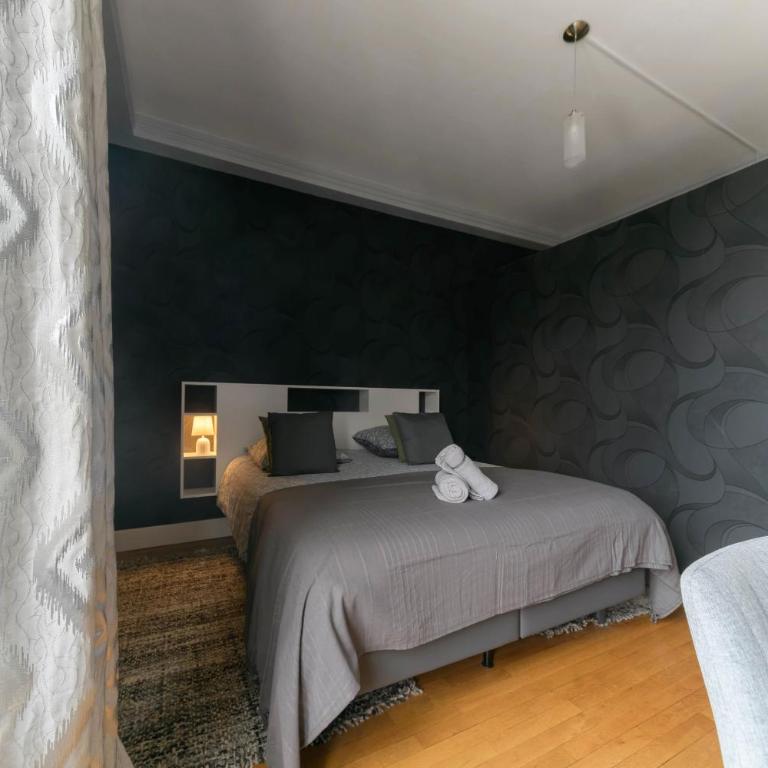 Le Sainte Barbe - Hyper Centre - Parc des sources - Appartement 2 Chambres - 3