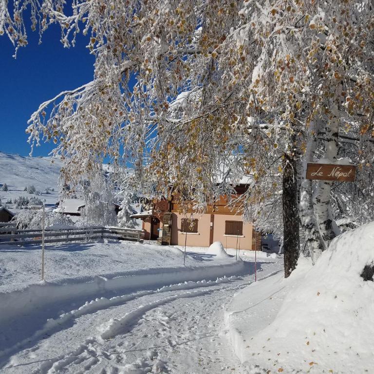 Les Saisies coté Légette appartement dans chalet LE NEPAL - Appartement 1 Chambre - 7