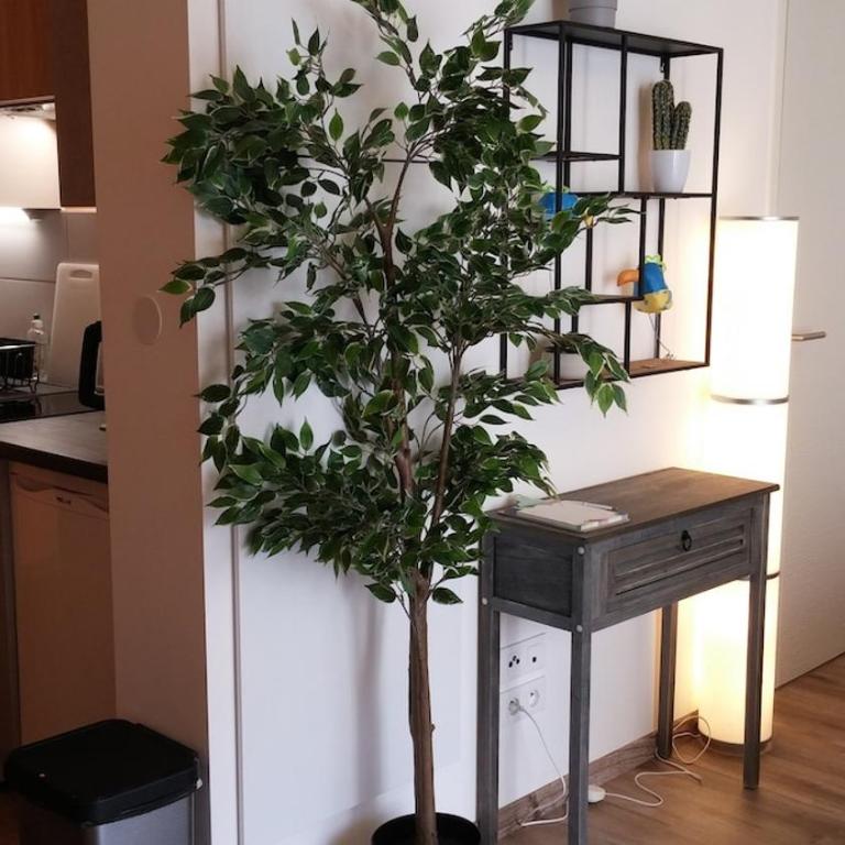 Charming studio with terrace and underground parking - Studio-Apartment mit Balkon - 14