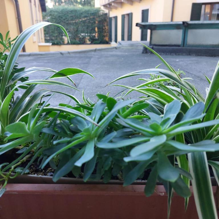 Monica's Dream Apartment - Appartamento con 1 Camera da Letto - 27