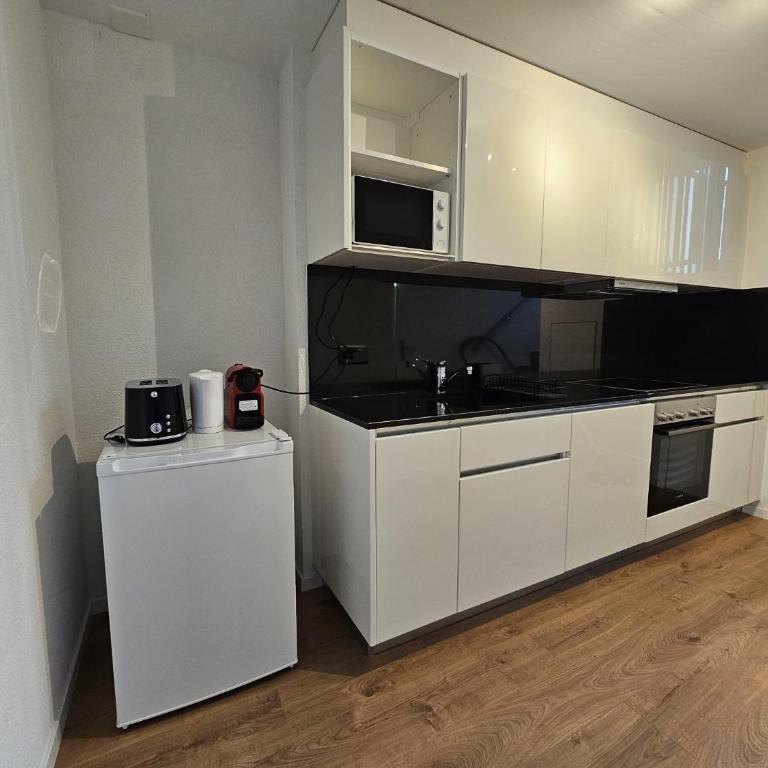 Private & Shared Stays in Lausanne - Camera Singola Standard con Bagno in Comune - 4