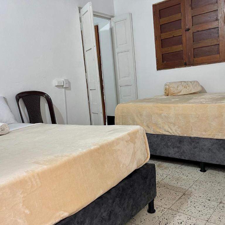 Apartamento en Zona Rosa - Apartamento de 2 dormitorios con balcón - 3