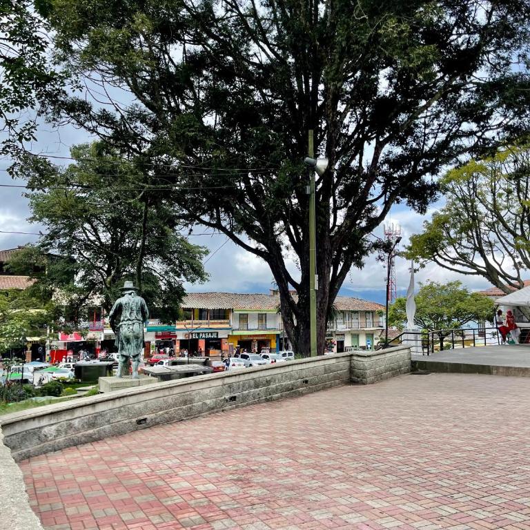 Apartamento en Zona Rosa - Apartamento de 2 dormitorios con balcón - 23