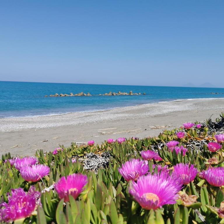 Seacily Apartment - Appartamento Standard con 2 Camere da Letto - 19