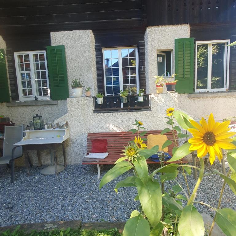 Zentral gelegene Wohnung mit grossem Garten - Apartment mit 2 Schlafzimmern - 4