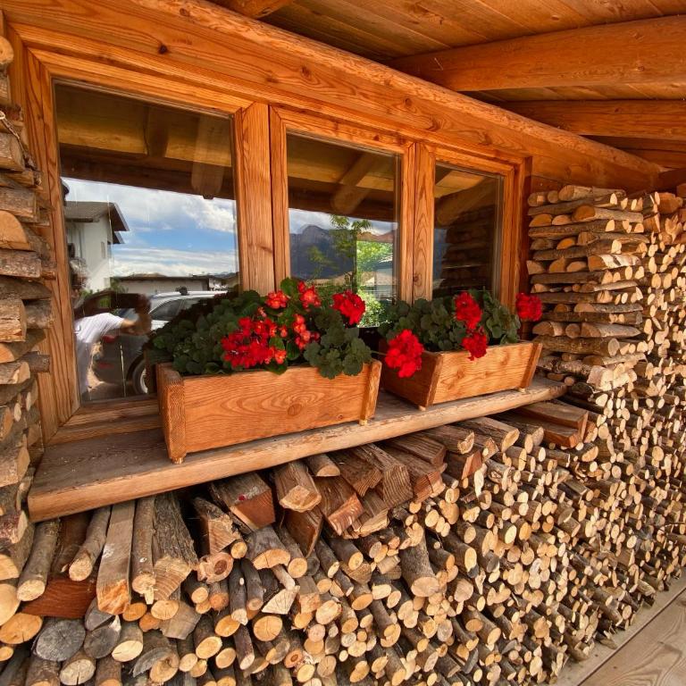Alaska House - Yukon Room - Appartamento con 1 Camera da Letto - 36