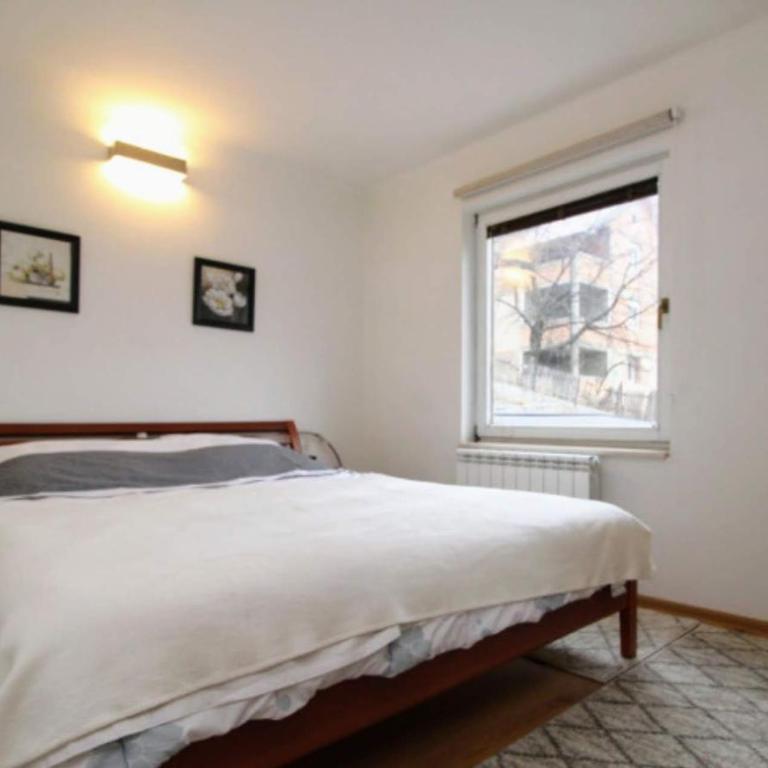 Blue Eye - One-Bedroom Apartment - 5