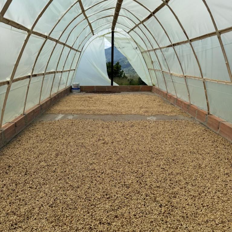 Finca cafetera para descanso - Casa de 3 dormitorios - 28