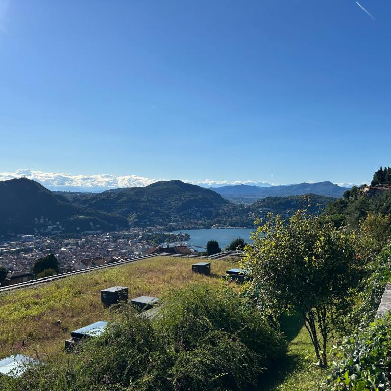 Exclusive flat on Lake Como with panoramic views - Appartamento Monolocale con Letto King-Size - 10