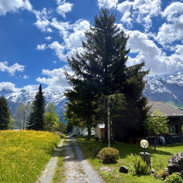 Cosy Chalet 87 in Engelberg with spectacular mountain and lake Views - Chalet mit 3 Schlafzimmern - 62