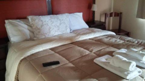 Patagonia Suites - Habitación Doble Deluxe - 1 o 2 camas - 8