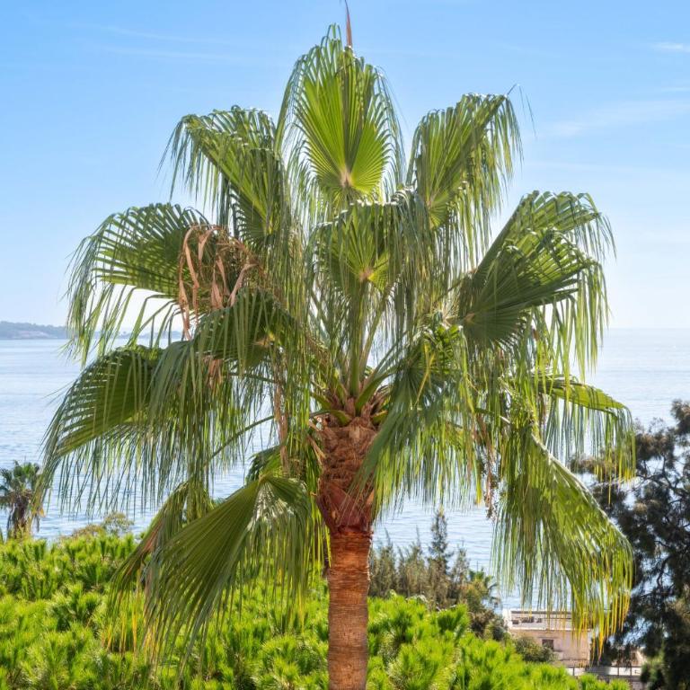 3Br Sea View Luxury Residence with Pool & Tennis - Appartement - 48