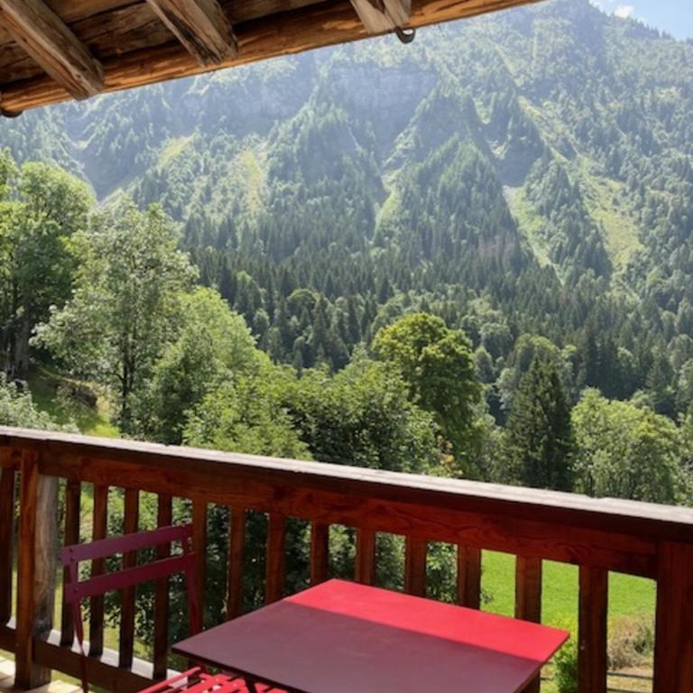 Ferme des Tétras - Chalet de prestige en montagne - Chalet - 39