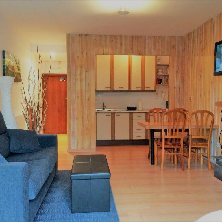 SKI & SNOW APARTMENTS - PLAZA DE PRADOLLANO - Junto a los Telecabinas by TODOSIERRANEVADA - Estudio - Adaptado para personas con movilidad reducida - 10