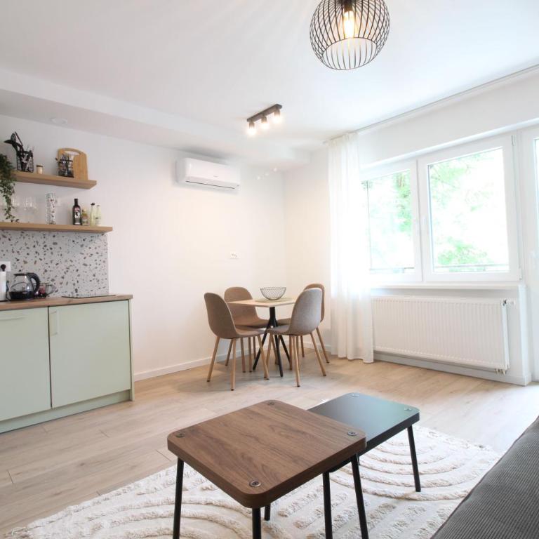 Petar Pan Apartment Sarajevo - One-Bedroom Apartment - 1