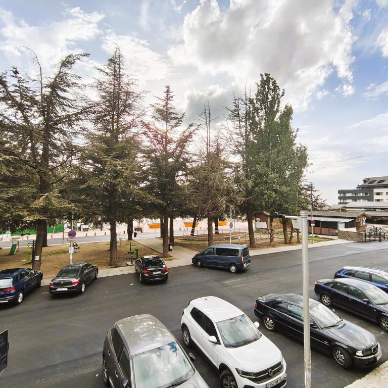 SKI & SNOW APARTMENTS - PLAZA DE PRADOLLANO - Junto a los Telecabinas by TODOSIERRANEVADA - Apartamento de 1 dormitorio - 4