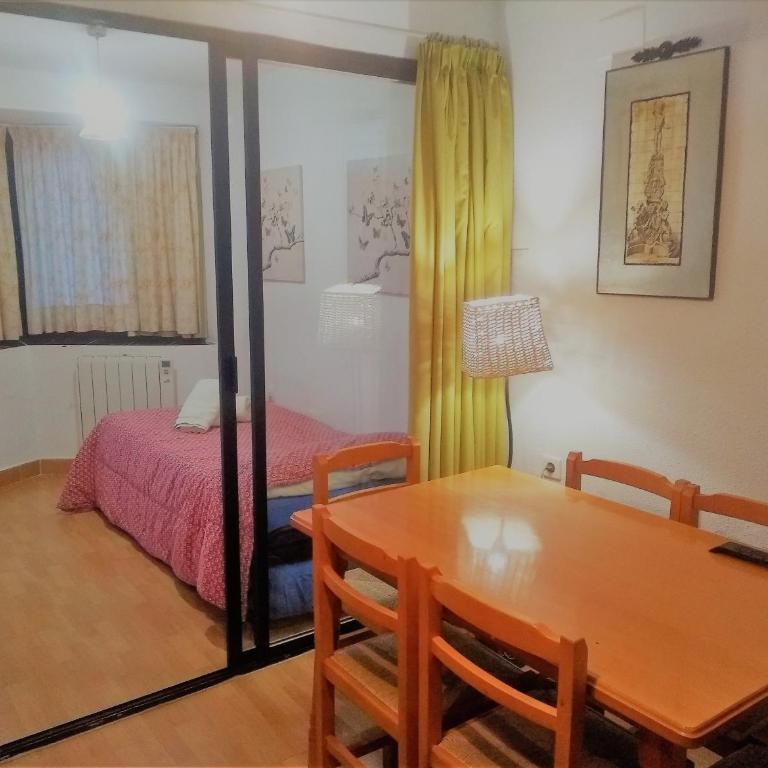 SKI & SNOW APARTMENTS - PLAZA DE PRADOLLANO - Junto a los Telecabinas by TODOSIERRANEVADA - Apartamento de 1 dormitorio - 15