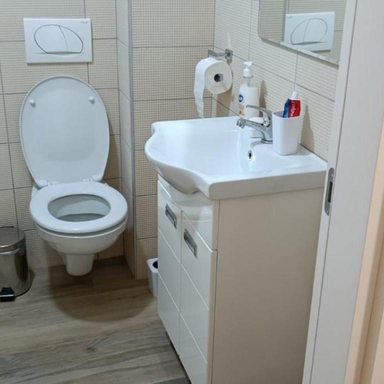 Apartman Seka - Apartman sa 1 Spavaćom Sobom - 6