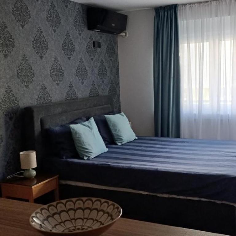 Apartman Seka - Apartman sa 1 Spavaćom Sobom - 9