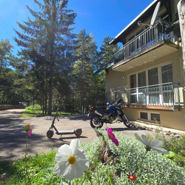 Apartmani Milutinovic - Apartman sa 2 Spavaće Sobe - 1