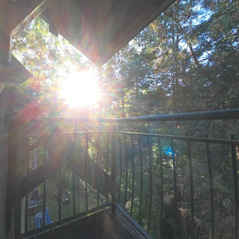 Apartmani Milutinovic - Apartman sa 1 Spavaćom Sobom - 2