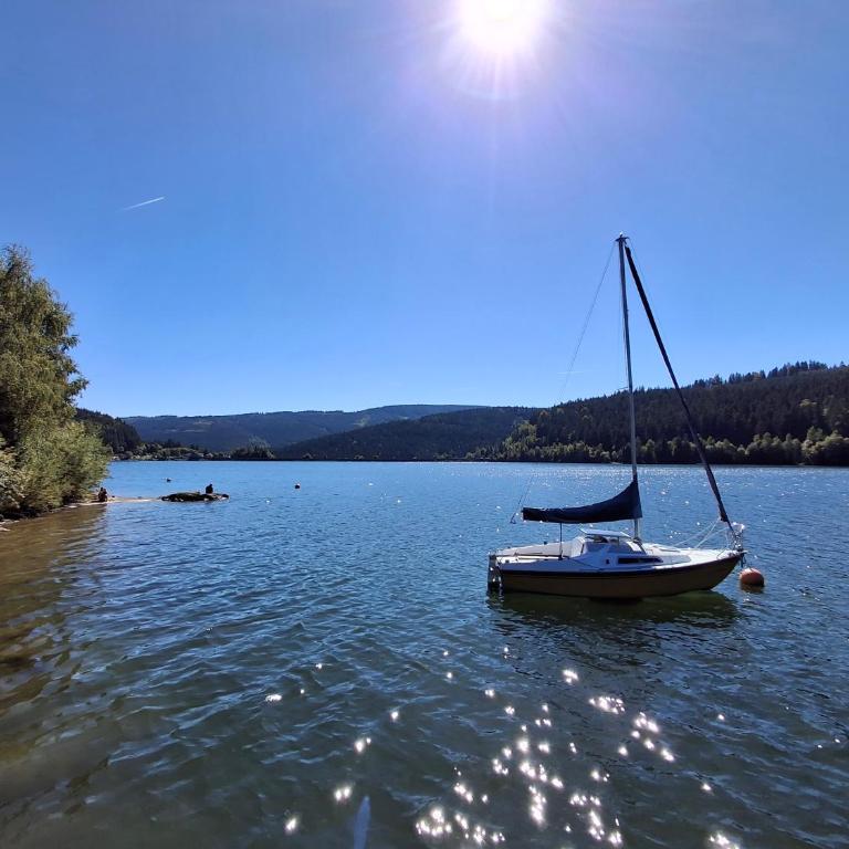 Lauras Ferienwohnung - Ihre Wohlfühloase in der Südweststeiermark mit Garten, Pool, Biotop & Weinbar - Apartment mit 2 Schlafzimmmern und eigenem Pool - 55