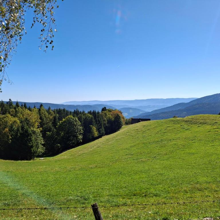 Lauras Ferienwohnung - Ihre Wohlfühloase in der Südweststeiermark mit Garten, Pool, Biotop & Weinbar - Apartment mit 2 Schlafzimmmern und eigenem Pool - 56