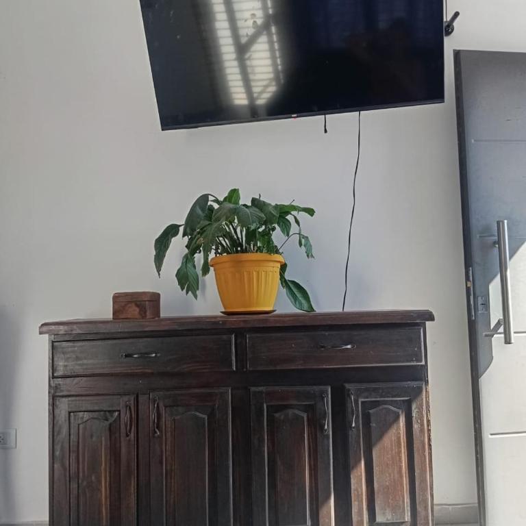 Marcela - Apartamento de 1 dormitorio - 2