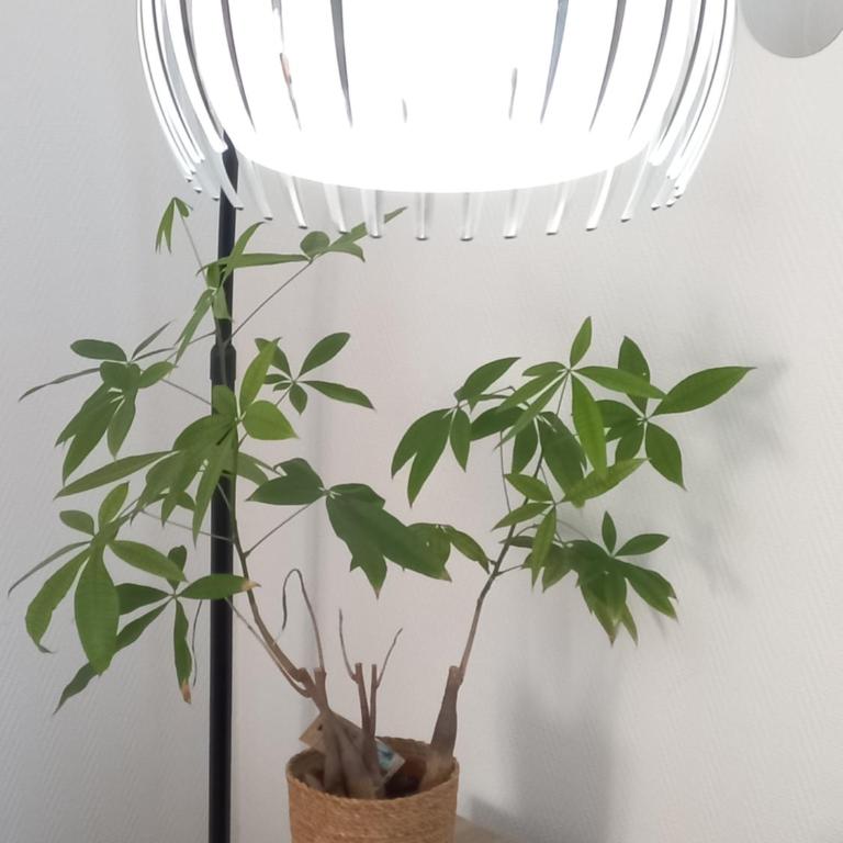 Duplex Éléonore-Lilas - Appartamento su 2 Livelli - 61