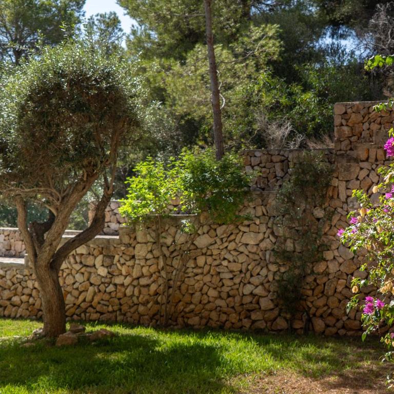 Villa El Magraner by Abahana Villas - Villa - 8