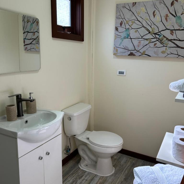 Cabaña Kooch Patagonia - One-Bedroom Apartment - 6