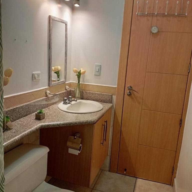 Departamento Bellavista Canal 8 - One-Bedroom Apartment - 9