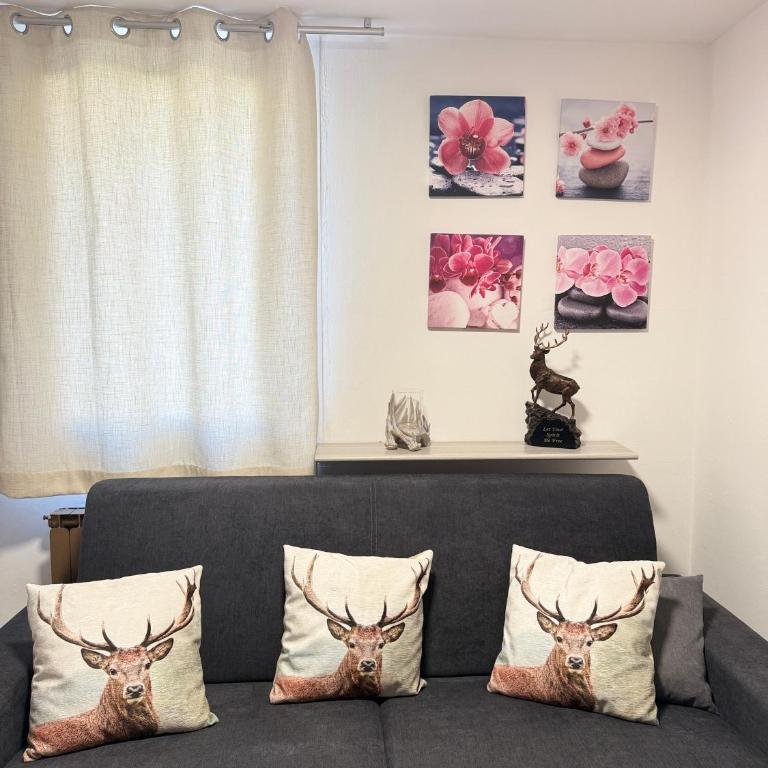 Orchidea Apartment - Monolocale - 8