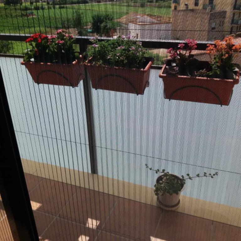 Apartamento Dúplex en Delta de l'Ebre dos terrazas y balcón - Apartment - Split Level - 5