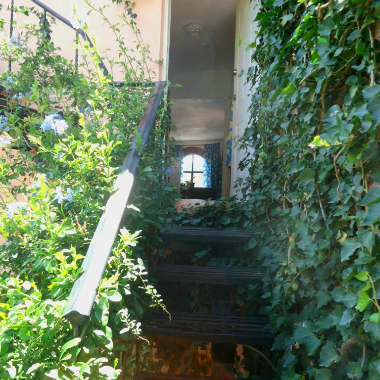 El Bello Jardín de Chela - Two-Bedroom Apartment - 15