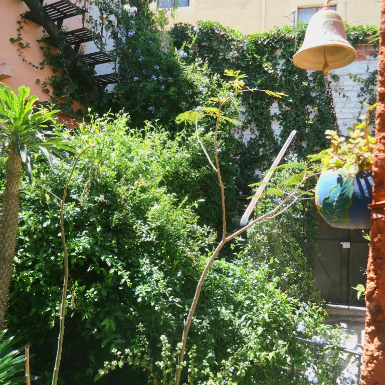 El Bello Jardín de Chela - Two-Bedroom Apartment - 18