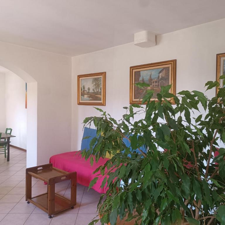 Oasi Panoramica Suite - Appartamento con Vista Montagna - 1