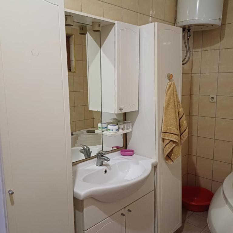 Aleja 2 apartment - Apartman sa 2 Spavaće Sobe - 11