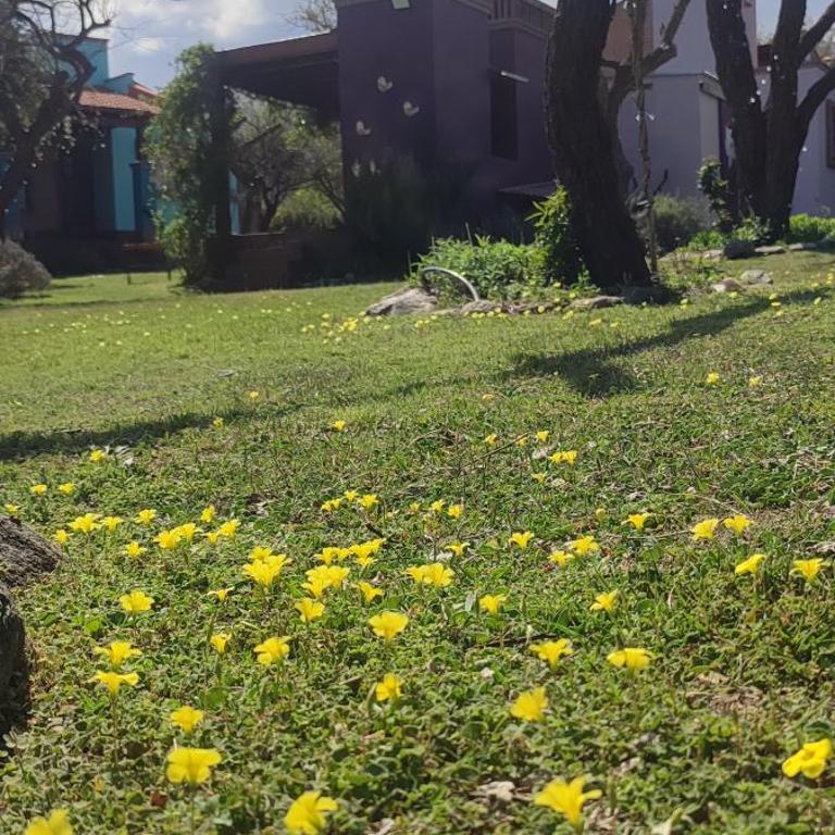 Colibríes en Las Moreras - Casa con 1 dormitorio - 3