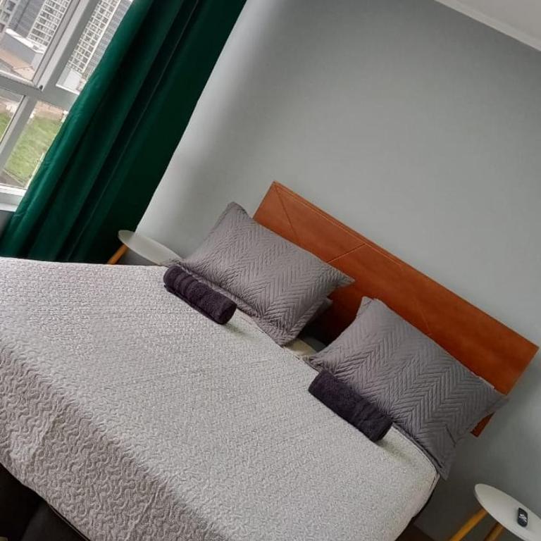 PDI School Department, USACH, Bus Terminal - One-Bedroom Apartment - 3