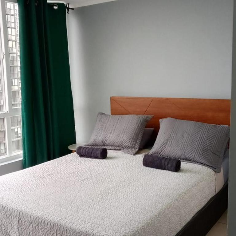 PDI School Department, USACH, Bus Terminal - One-Bedroom Apartment - 1