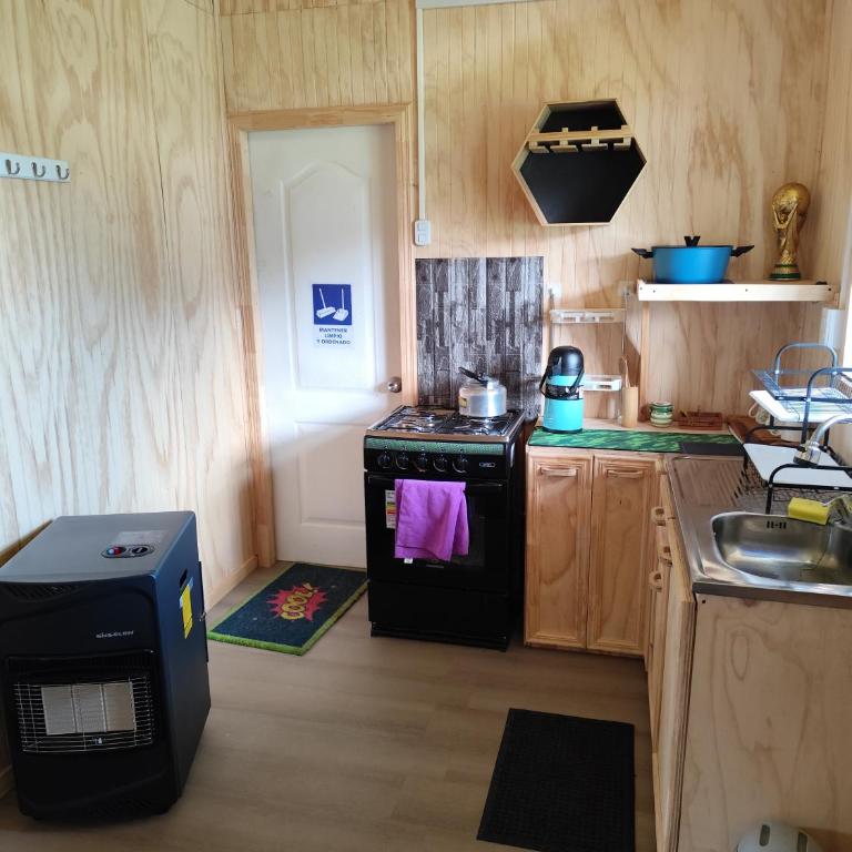 Ecohpirén - Casa de 2 dormitorios - 17