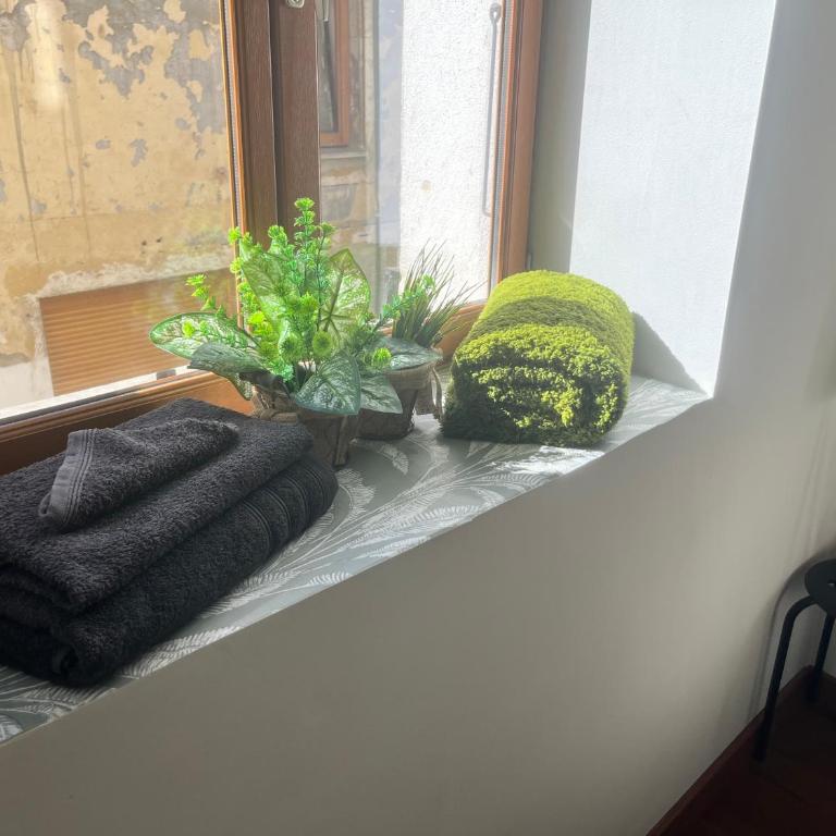 L émeraude - Appartement 1 Chambre - 3