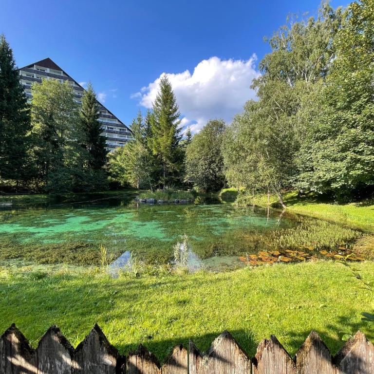 Ferienhaus Fux - Your Lake and Ski Hideaway at Tauplitz near Hallstatt - Haus mit 3 Schlafzimmern - 13