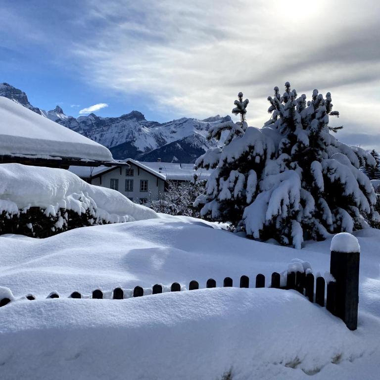 Chalet Julie in Villars-sur-Ollon - Chalet - 3