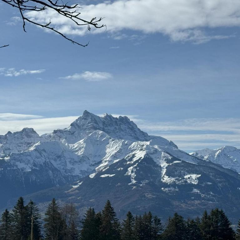 Chalet Julie in Villars-sur-Ollon - Chalet - 50