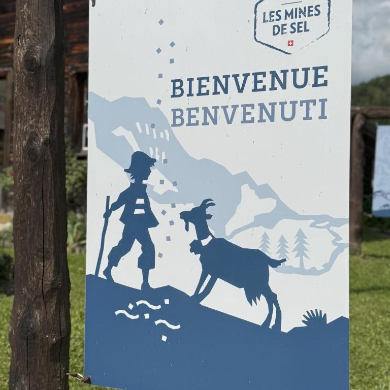Chalet Julie in Villars-sur-Ollon - Chalet - 59