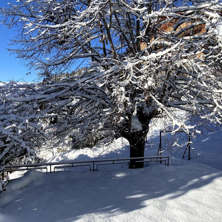 Chalet Julie in Villars-sur-Ollon - Chalet - 6