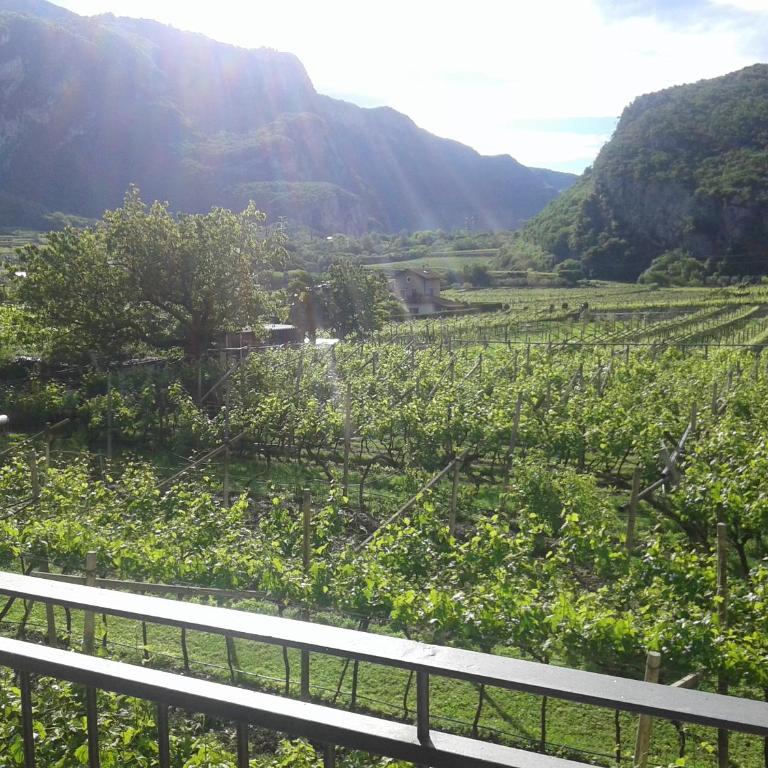 La Masera Holiday - Oliveto - One-Bedroom Apartment - 1