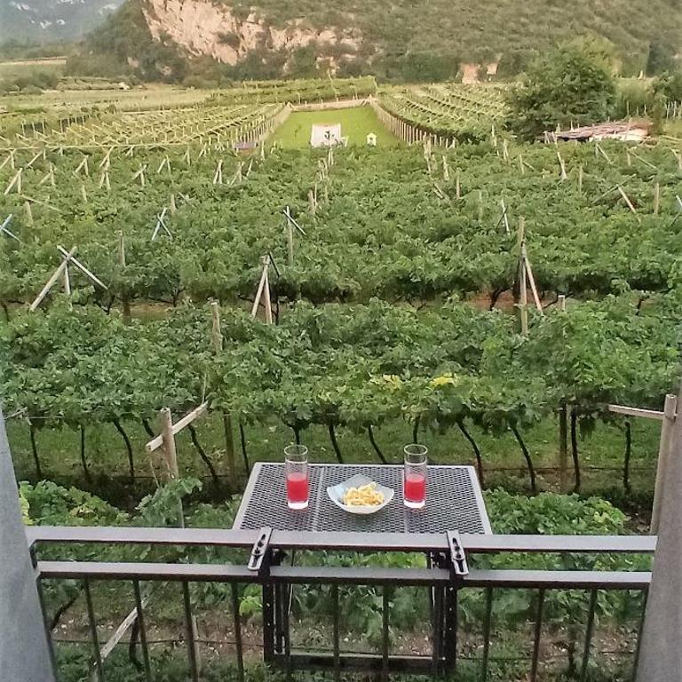 La Masera Holiday - Oliveto - One-Bedroom Apartment - 5